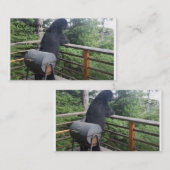 Betreffen Sie Ferien Visitenkarte (Vorne/Hinten)