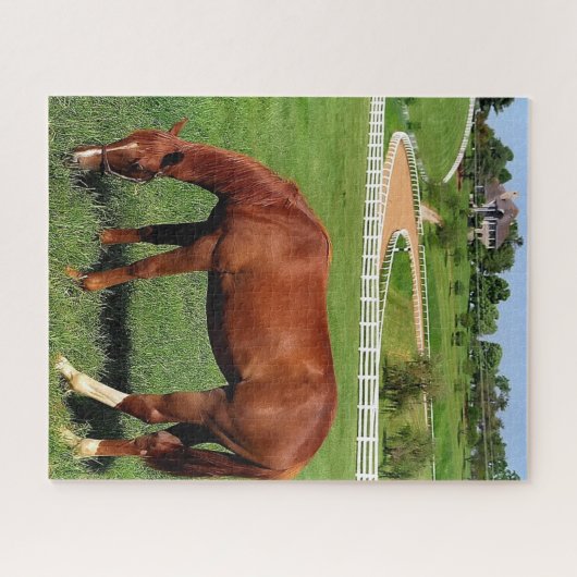 Betrieb in Kentucky Puzzle (Horizontal)