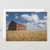 Betriebe | Alte rote Scheune im Weizenfeld Dankeskarte (Vorne/Hinten)