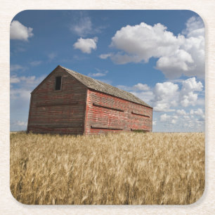 Betriebe   Alte rote Scheune im Weizenfeld Rechteckiger Pappuntersetzer