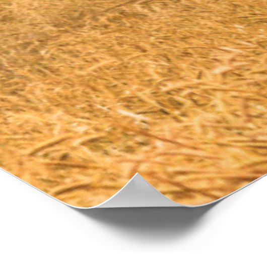 Betriebe | Alte rote Scheune Poster (Ecke)