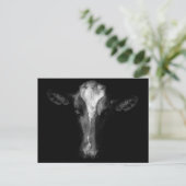 Betriebe | B&W Kuhkuh Kopf Shot Postkarte (Stehend Vorderseite)