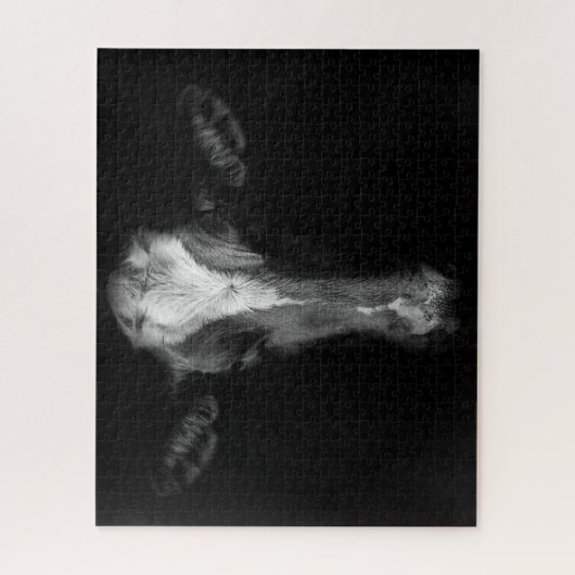 Betriebe | B&W Kuhkuh Kopf Shot Puzzle (Vertikal)