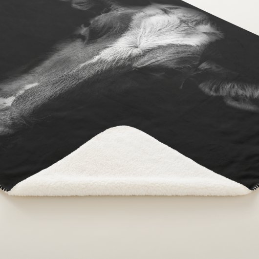 Betriebe | B&W Kuhkuh Kopf Shot Sherpadecke (3/4)