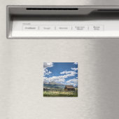 Betriebe | Bauernhof Unterhalb des Colorado Magnet (In Situ (Geschirrspüler))