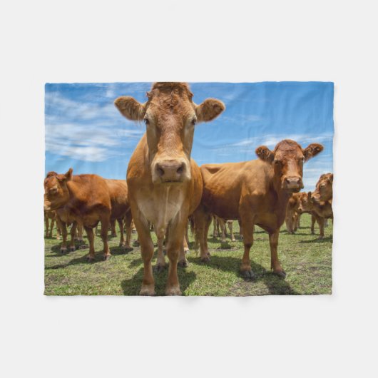 Betriebe | Brown Cow Group Fleecedecke (Vorderseite (Horizontal))
