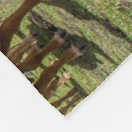 Betriebe | Brown Cow Group Fleecedecke (Ecke)