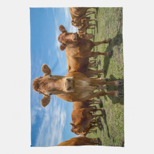 Betriebe | Brown Cow Group Geschirrtuch (Vertikal)