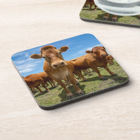 Betriebe | Brown Cow Group Getränkeuntersetzer (Linke Seite)