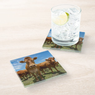 Betriebe Brown Cow Group Glasuntersetzer