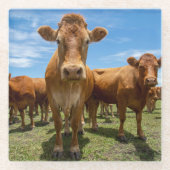 Betriebe | Brown Cow Group Glasuntersetzer (Vorderseite)