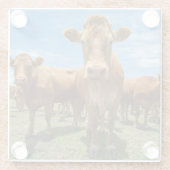 Betriebe | Brown Cow Group Glasuntersetzer (Rückseite)