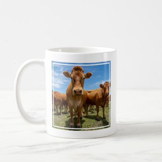 Betriebe | Brown Cow Group Kaffeetasse (Links)