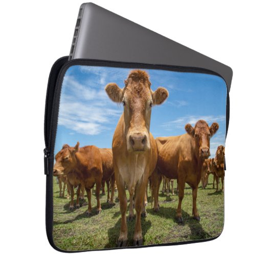 Betriebe | Brown Cow Group Laptopschutzhülle (Vorne Rechts)