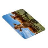 Betriebe | Brown Cow Group Magnet (Rechte Seite)