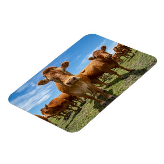 Betriebe | Brown Cow Group Magnet (Linke Seite)