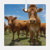 Betriebe | Brown Cow Group Ornament Aus Glas (Rückseite)