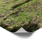 Betriebe | Brown Cow Group Poster (Ecke)