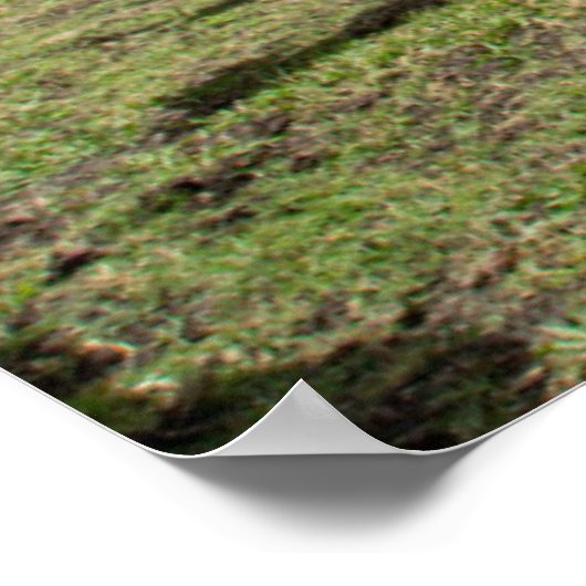 Betriebe | Brown Cow Group Poster (Ecke)