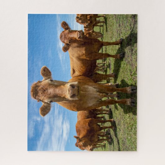 Betriebe | Brown Cow Group Puzzle (Vertikal)