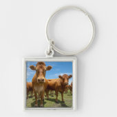 Betriebe | Brown Cow Group Schlüsselanhänger (Vorne)