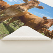 Betriebe | Brown Cow Group Sherpadecke (3/4)