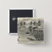 Betriebe, Capay Valley, Madison Button (Vorne & Hinten)
