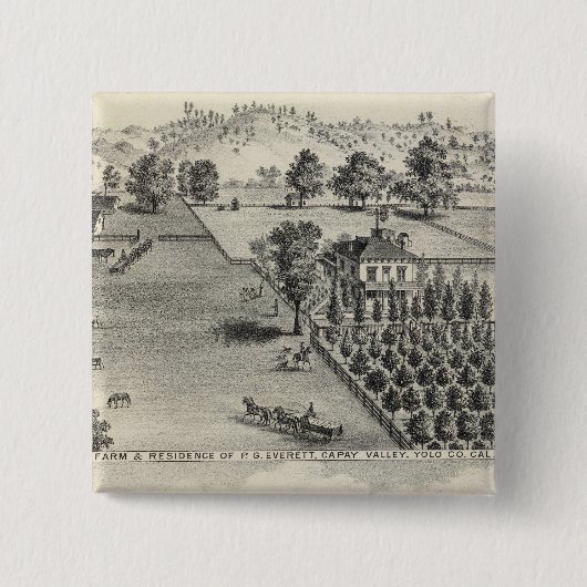 Betriebe, Capay Valley, Madison Button (Vorderseite)