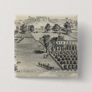 Betriebe, Capay Valley, Madison Button