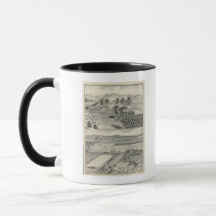 Betriebe, Capay Valley, Madison Tasse