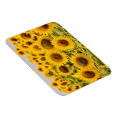 Betriebe | Ein Sonnenblumenfeld Magnet (Rechte Seite)