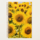 Betriebe | Ein Sonnenblumenfeld Planer (Vorderseite)