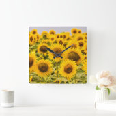 Betriebe | Ein Sonnenblumenfeld Quadratische Wanduhr (Zuhause)