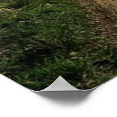 Betriebe | English Countryside Dirt Road Poster (Ecke)