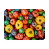 Betriebe | Farbige Tomatenernte Magnet (Horizontal)