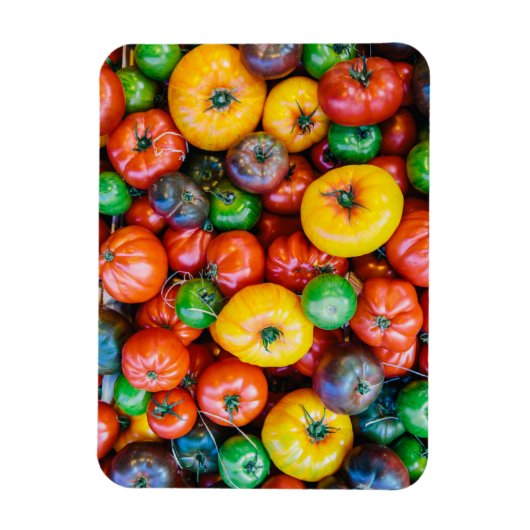 Betriebe | Farbige Tomatenernte Magnet (Vertikal)