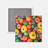 Betriebe | Farbige Tomatenernte Magnet (Vorderseite/Rückseite)