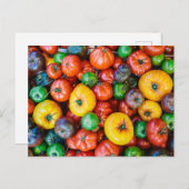 Betriebe | Farbige Tomatenernte Postkarte (Vorne/Hinten)