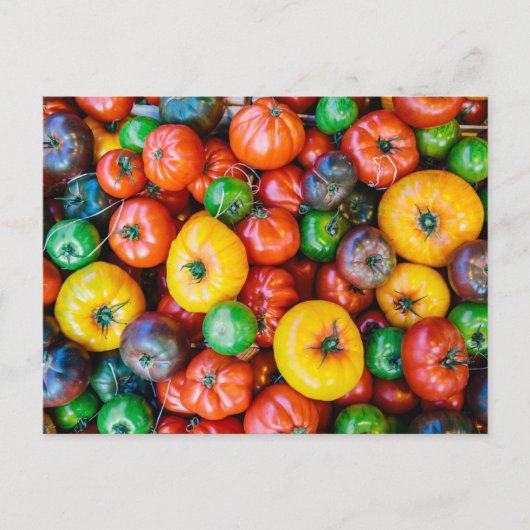 Betriebe | Farbige Tomatenernte Postkarte (Vorderseite)