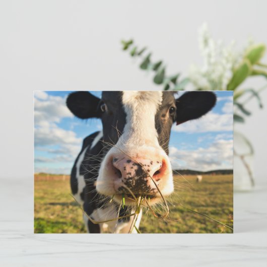 Betriebe | Holstein Kuh Kauen Dankeskarte (Stehend Vorderseite)