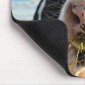 Betriebe | Holstein Kuh Kauen Mousepad (Ecke)