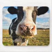 Betriebe | Holstein Kuh Kauen Mousepad (Vorne)