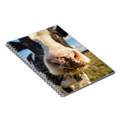 Betriebe | Holstein Kuh Kauen Notizblock (Rechte Seite)