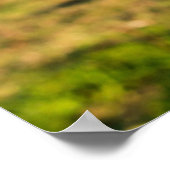 Betriebe | Holstein Kuh Kauen Poster (Ecke)