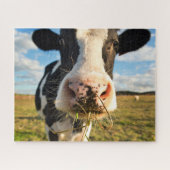 Betriebe | Holstein Kuh Kauen Puzzle (Horizontal)