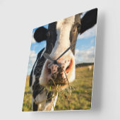 Betriebe | Holstein Kuh Kauen Quadratische Wanduhr (Winkel)