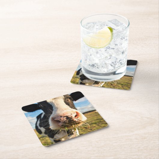 Betriebe | Holstein Kuh Kauen Rechteckiger Pappuntersetzer (Vor Ort)