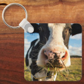 Betriebe | Holstein Kuh Kauen Schlüsselanhänger (Vorderseite)