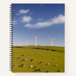 Betriebe   Kühe in der Nähe der Windmühle Notizblock