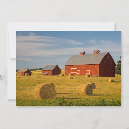 Betriebe | Red Barns Near Hay Bales Dankeskarte (Vorderseite)